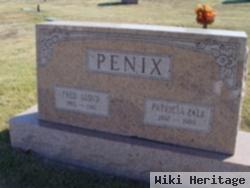 Patricia Falk Penix