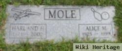 Alice M Mole