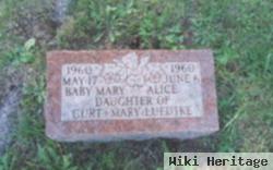 Mary Alice Luedtke