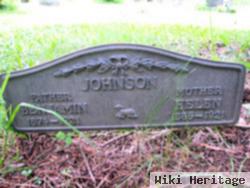 Helen Brown Johnson