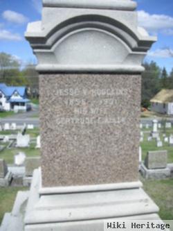 Jesse V. Hodgkins