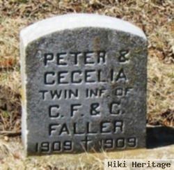 Cecelia Faller