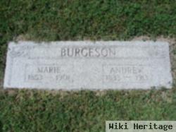 Marie Burgeson