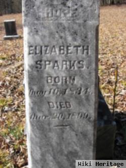 Elizabeth Rosa Hill Sparks