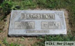 Andrew Lewis "hank" Bergstrom