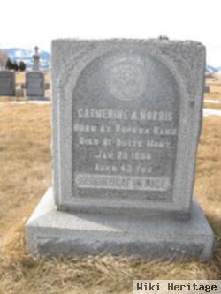 Catherine A Norris