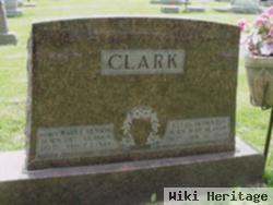 Mary Elizabeth Benson Clark