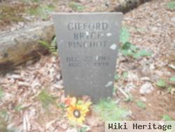 Gifford Bryce Pinchot