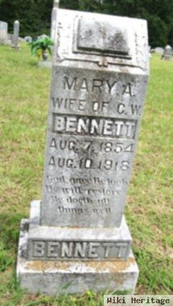 Mary Ann "polly" Austin Bennett