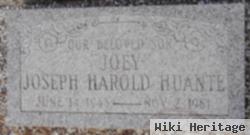 Joseph Harold "joey" Huante