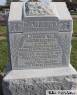 John W. Newsock