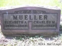 Elizabeth A. Mueller