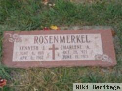 Kenneth J Rosenmerkel