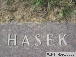 Albert G. Hasek