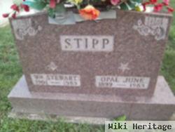 William Stewart Stipp