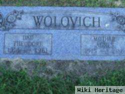 Theodore Wolovich