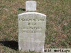 Andrew Mitchell