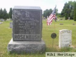 Nancy Jane Coe Rosenbush