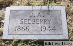 John Alexander Sedberry