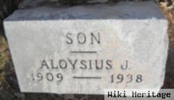 Aloysius J. Heeg