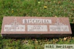 Richard A Bisciglia, Jr