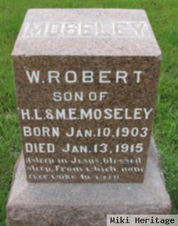 W. Robert Moseley