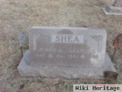 George T Shea