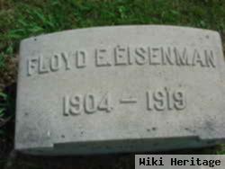 Floyd E Eisenman