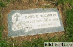 David D. Wogerman