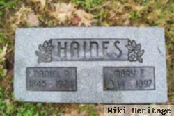 Daniel P Haines