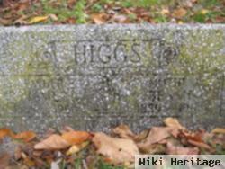 Bessie Pearl Hout Higgs