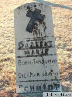 Darlene Marie Schmidt