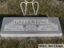 Jane E Delaney Gallentine