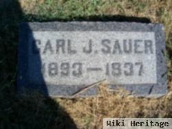 Carl J Sauer