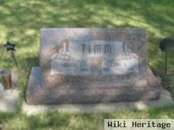 Carl L. Timm