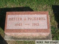 Hester A. Hollender Pickerel