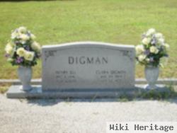 Henry Eli Digman