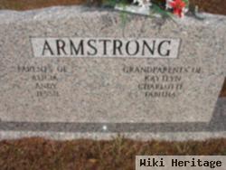 Harry Ray Armstrong