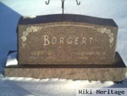 Vern Borgert