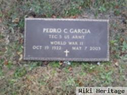 Pedro C Garcia