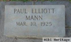 Paul Elliott Mann