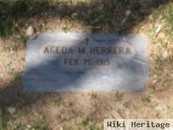 Ageda M Herrera