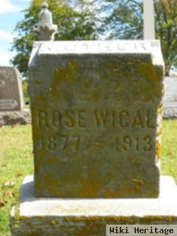 Rose Wical