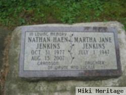 Nathan Haen Jenkins