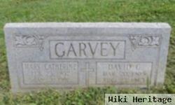 David C Garvey