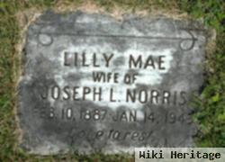 Lilly Mae Norris