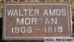 Walter Amos Morgan