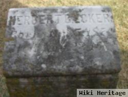 Herbert B Ecker