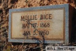 Mollie J. Pearson Bice