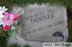 Seth Artell Thornley